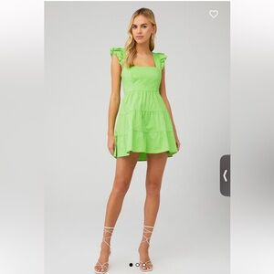 Show me your mumu lovely mini dress Ruffle Sleeve Dress